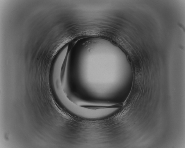 X0000097860530200804041530