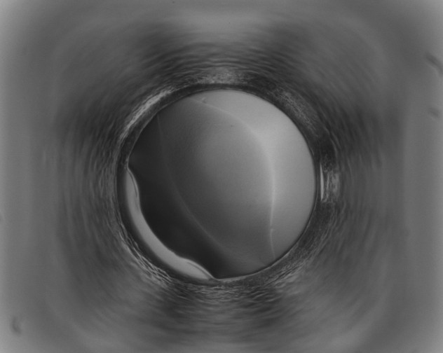 X0000097860531200804041530