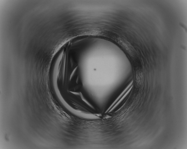 X0000097860532200804041530