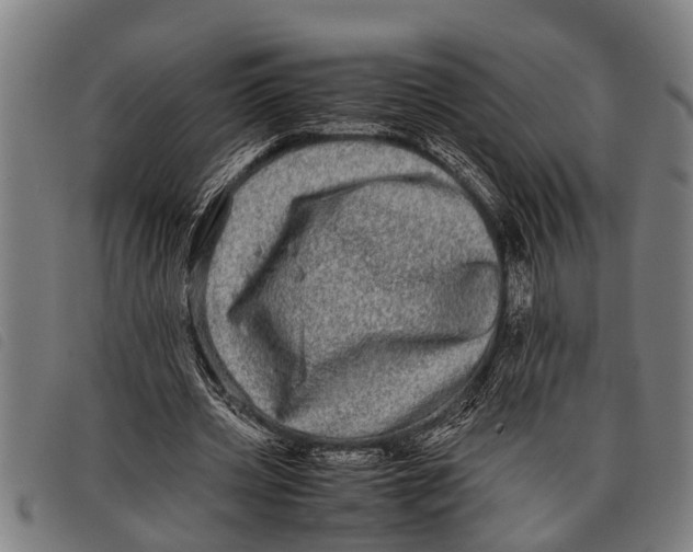 X0000097860533200804041530