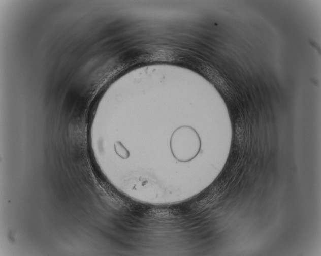 X0000097860534200804041530