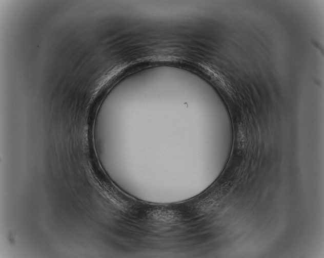 X0000097860535200804041530