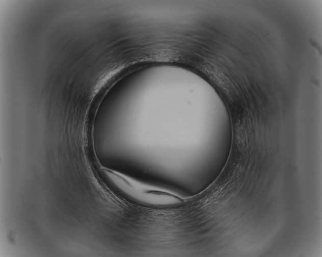 X0000097860536200804041530