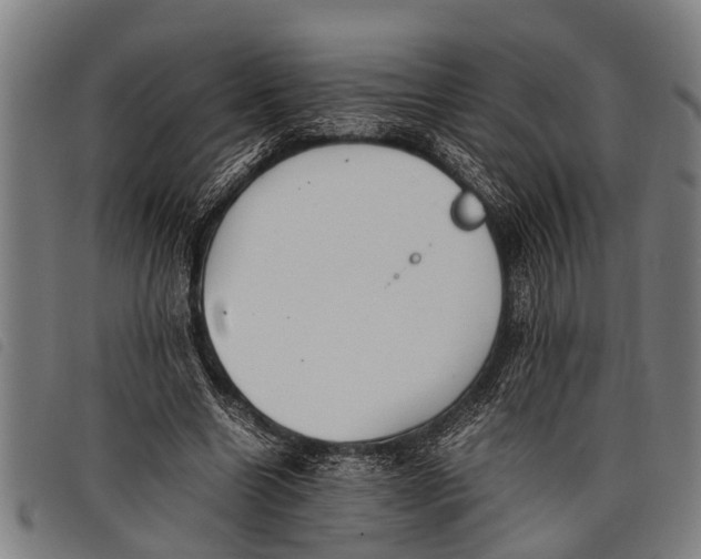 X0000097860538200804041530