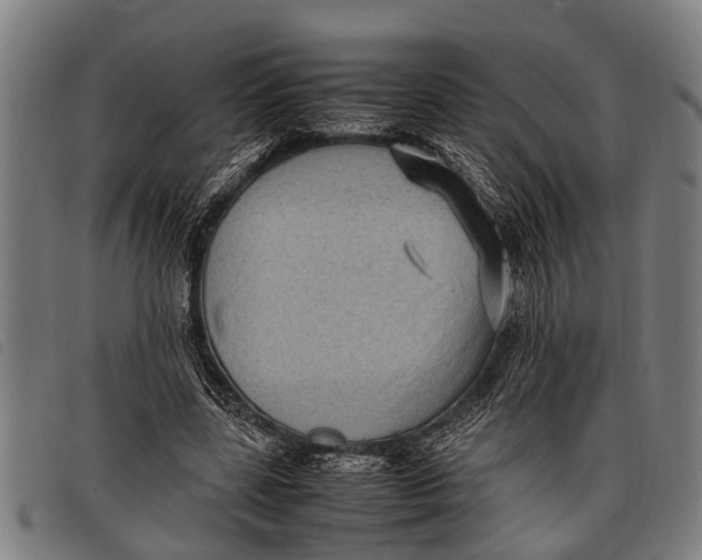 X0000097860539200804041530