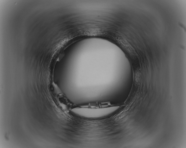 X0000097860540200804041530