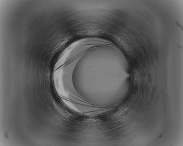 X0000097860542200804041530