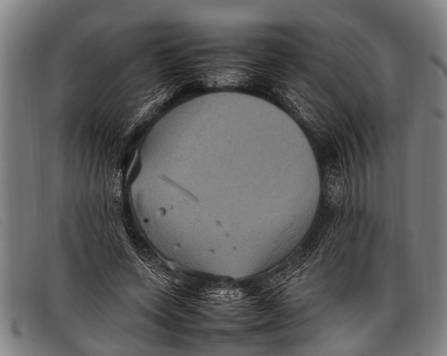 X0000097860543200804041531