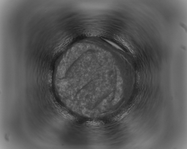 X0000097860545200804041531