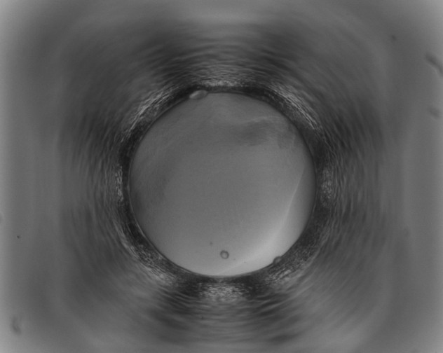 X0000097860547200804041531