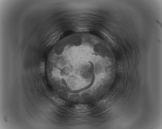 X0000097860549200804041531