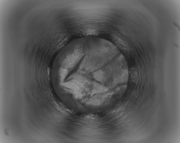 X0000097860550200804041531