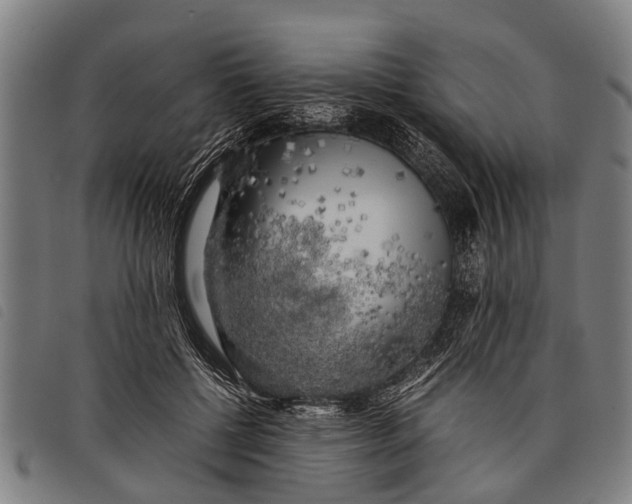 X0000097860552200804041531