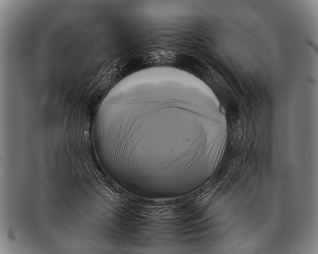 X0000097860553200804041531