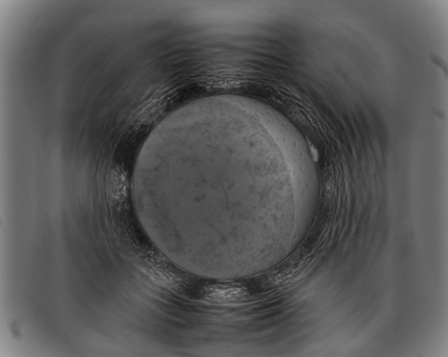 X0000097860555200804041531