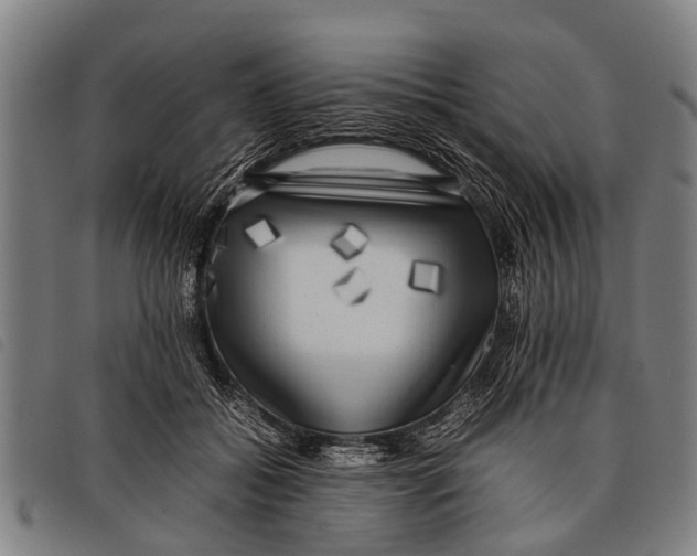 X0000097860556200804041531