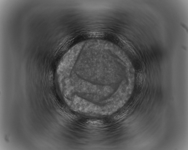 X0000097860557200804041531