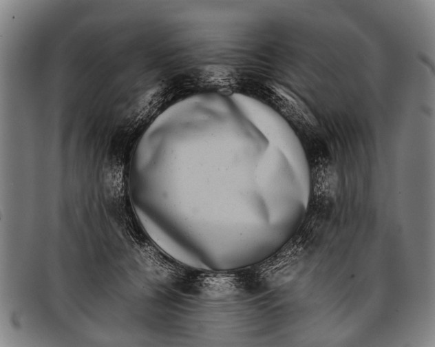 X0000097860560200804041531