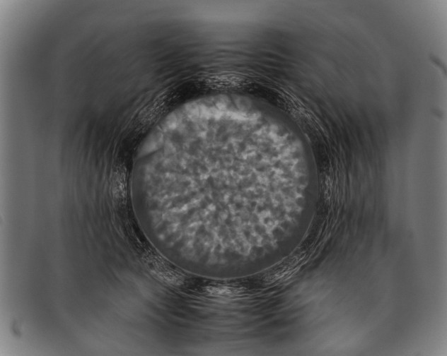 X0000097860561200804041531