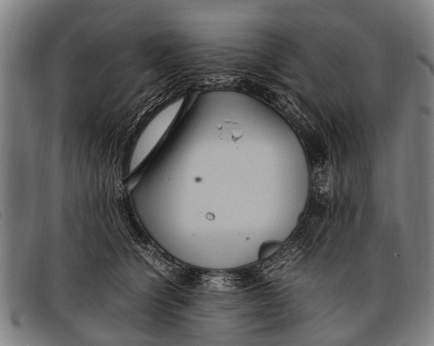 X0000097860564200804041531