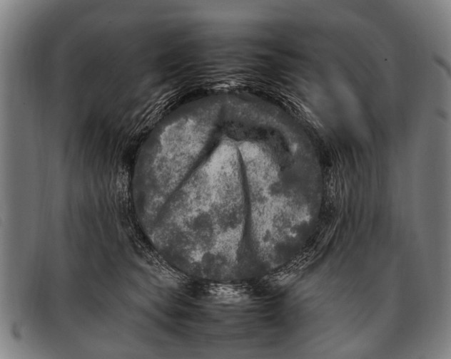 X0000097860565200804041531