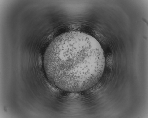 X0000097860570200804041531