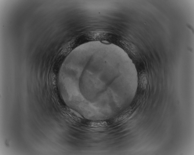 X0000097860571200804041531