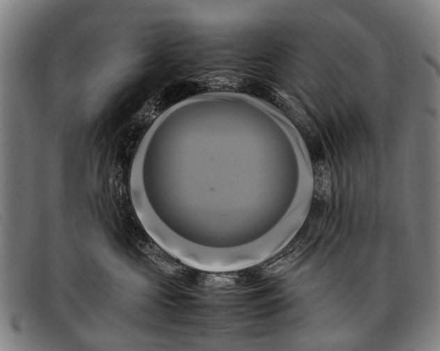 X0000097860573200804041531