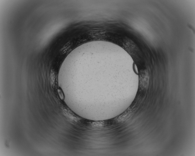 X0000097860574200804041531