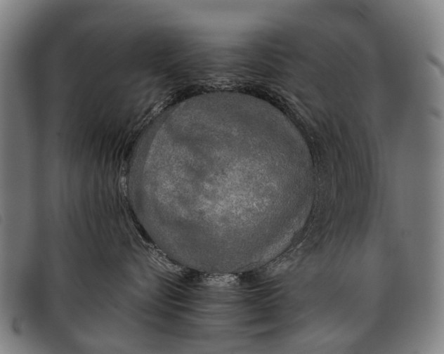 X0000097860576200804041531