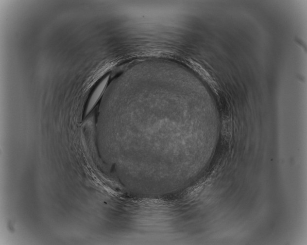 X0000097860577200804041530