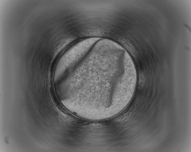 X0000097860578200804041530