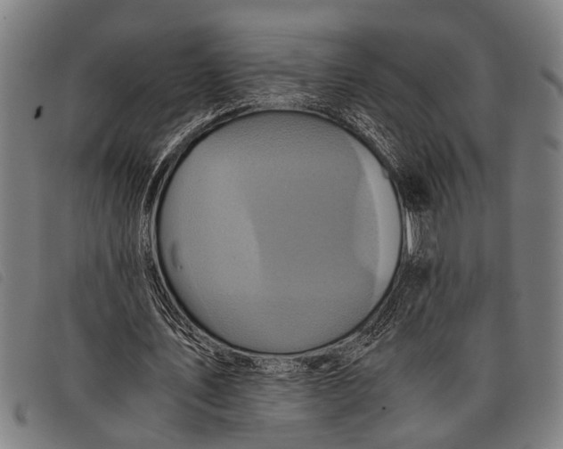 X0000097860579200804041530