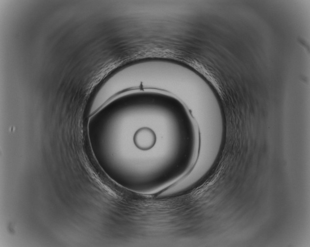 X0000097860581200804041530