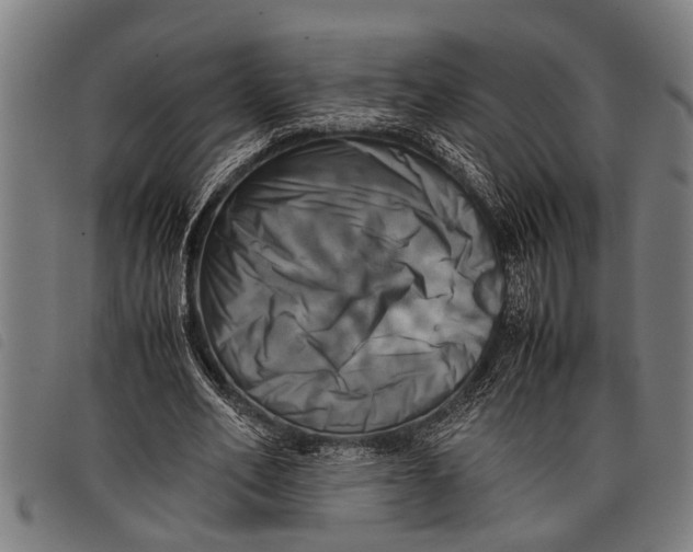 X0000097860582200804041530