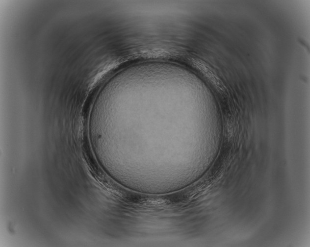 X0000097860583200804041530