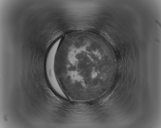 X0000097860585200804041530