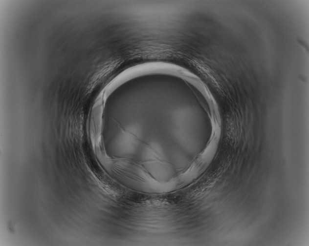 X0000097860586200804041530