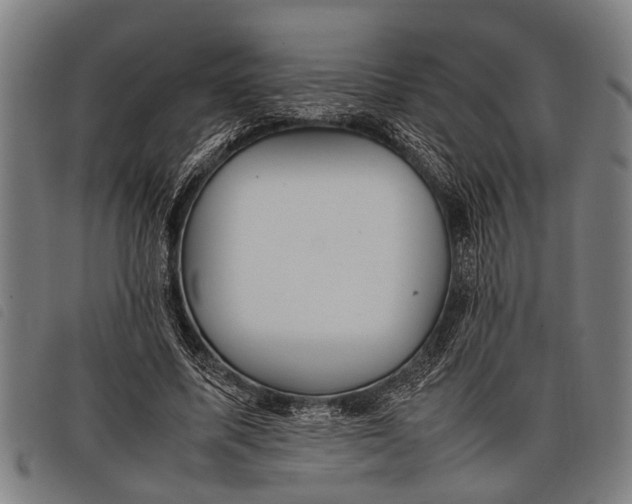 X0000097860587200804041530