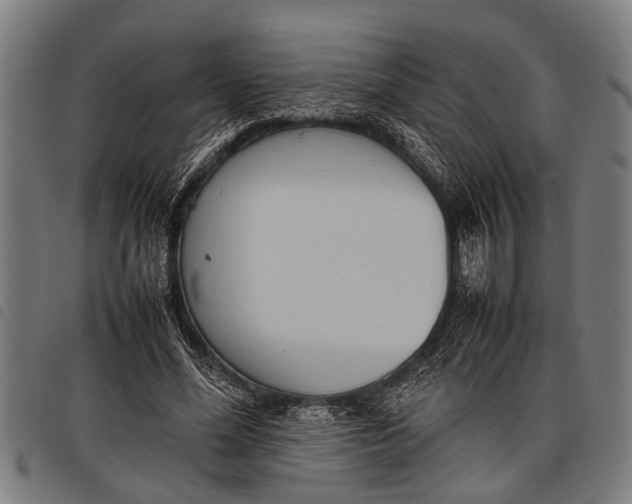 X0000097860588200804041530