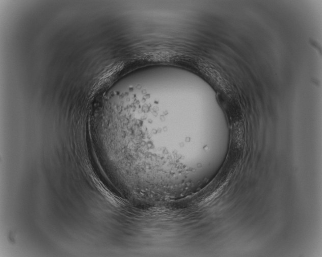 X0000097860589200804041530