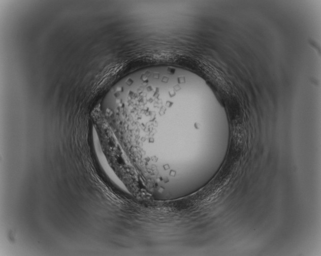 X0000097860593200804041530