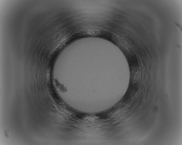 X0000097860595200804041530