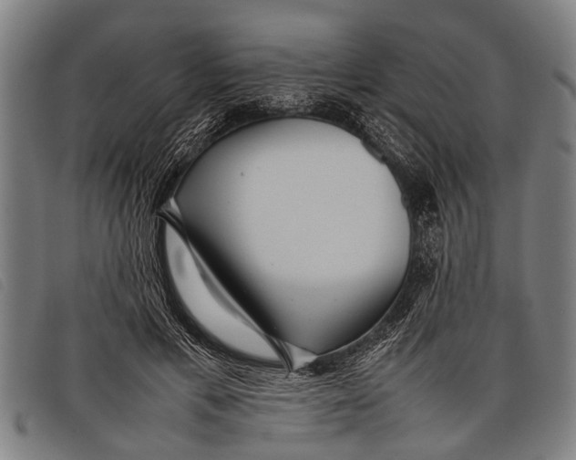 X0000097860597200804041530