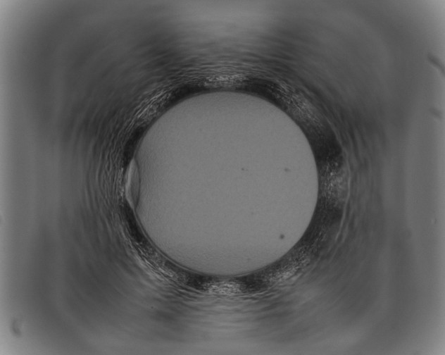 X0000097860599200804041530