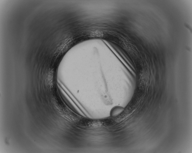 X0000097860600200804041530