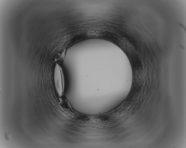 X0000097860601200804041530