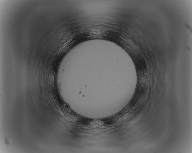 X0000097860603200804041530