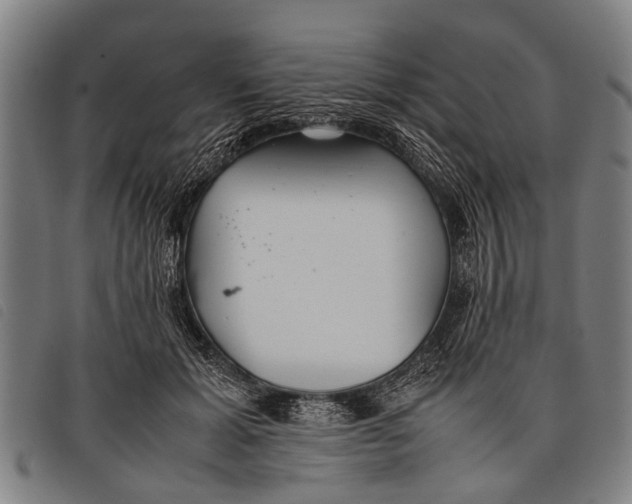 X0000097860605200804041530