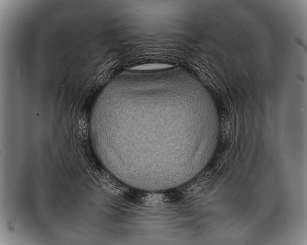 X0000097860609200804041530